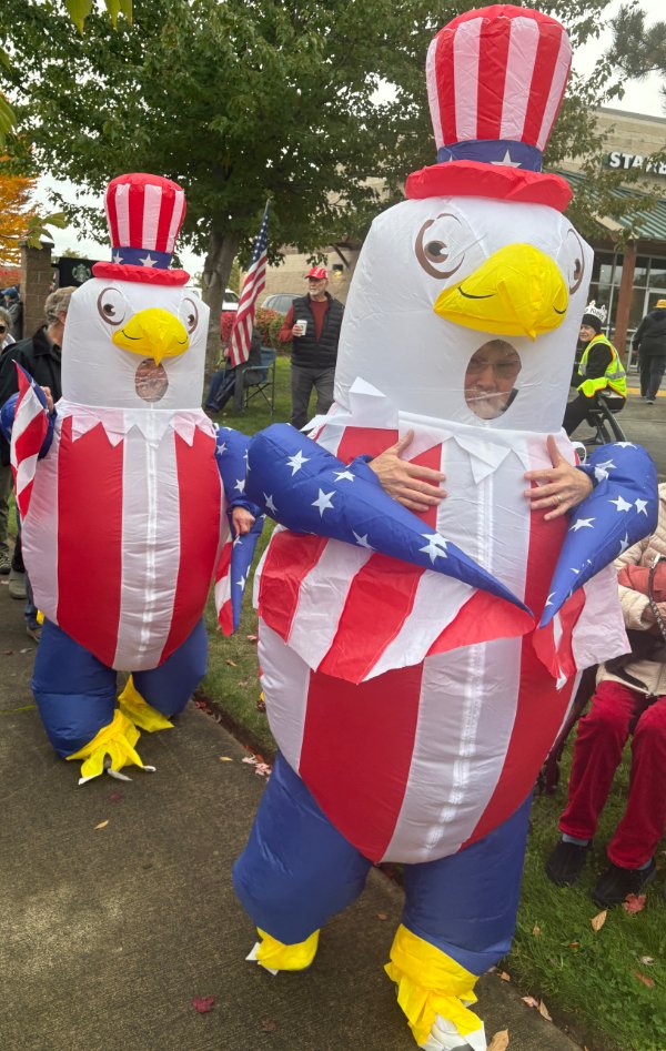  Two blow up patriotic eagles