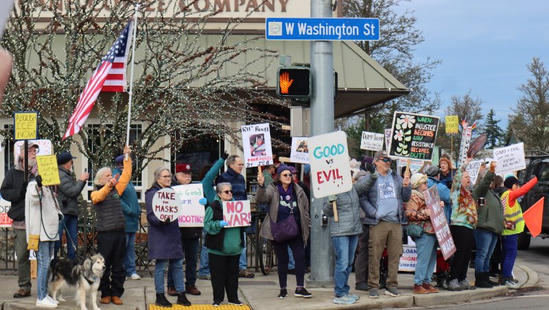 Line of protesters with flag and signs